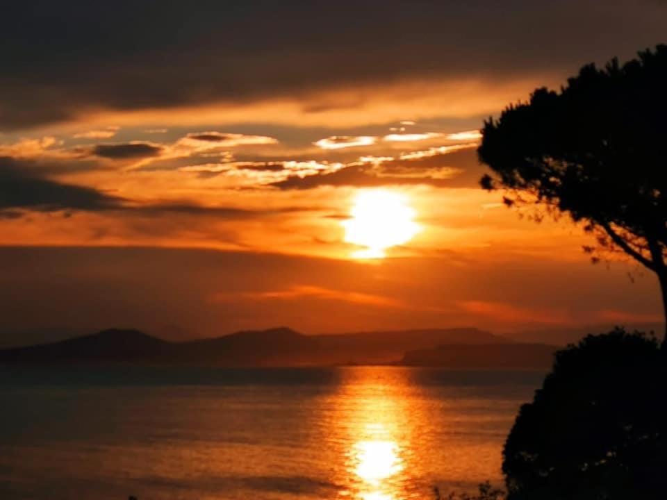 Ischia - Panoramic Apartment On The Sea ラッコ・アメーノ エクステリア 写真